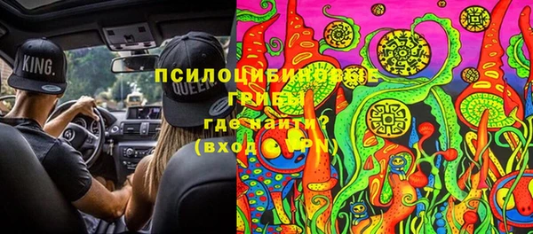 Альфа ПВП Бугульма