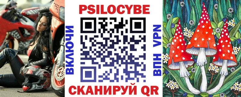 продажа наркотиков  Ельня  Псилоцибиновые грибы мухоморы 